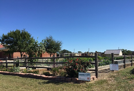 Harvest Community Garden