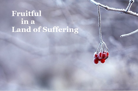 Sermon Series: Fruitful in a Land of Suffering