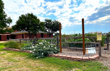 Harvest Community Garden
